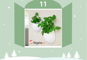 CELEBRA EL 11 DE DICIEMBRE CON REGALOS.ES