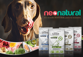 PLATINUM: EL SABOR QUE TU PERRO NO PODRÁ RESISTIR
