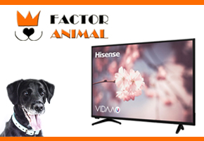 CONSIGUE ESTA SMART TV CON FACTORANIMAL 